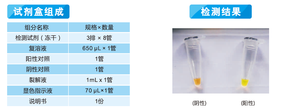 食品中致病菌恒温扩增荧光法LAMP法···