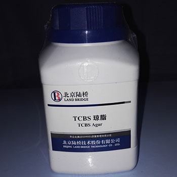 北京陆桥CM402TCBS琼脂
